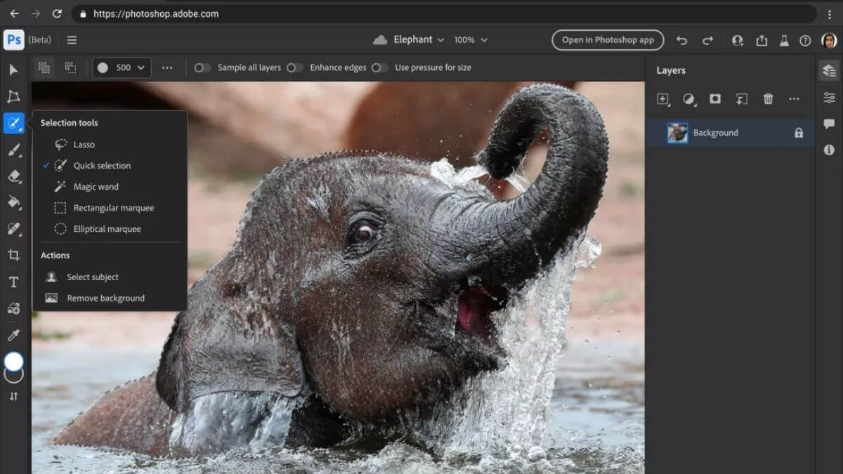 elephant-sur-photoshop