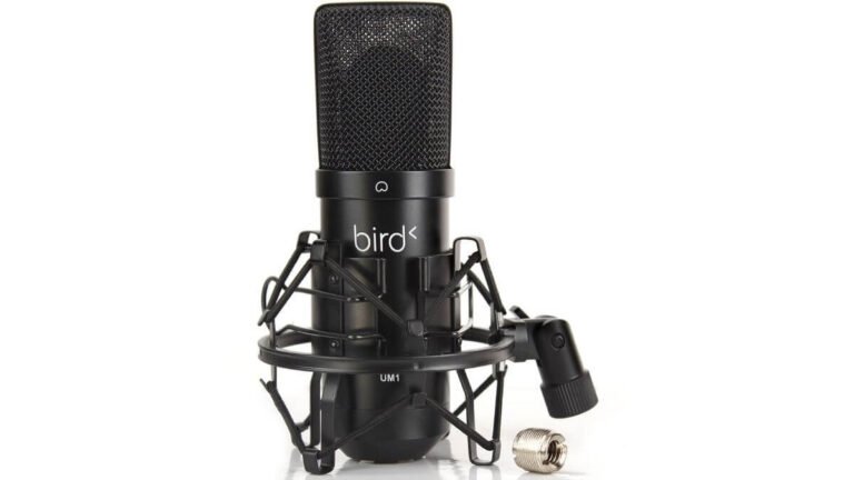 Test Bird UM1 : Qualité professionnelle à prix abordable pour vos enregistrements