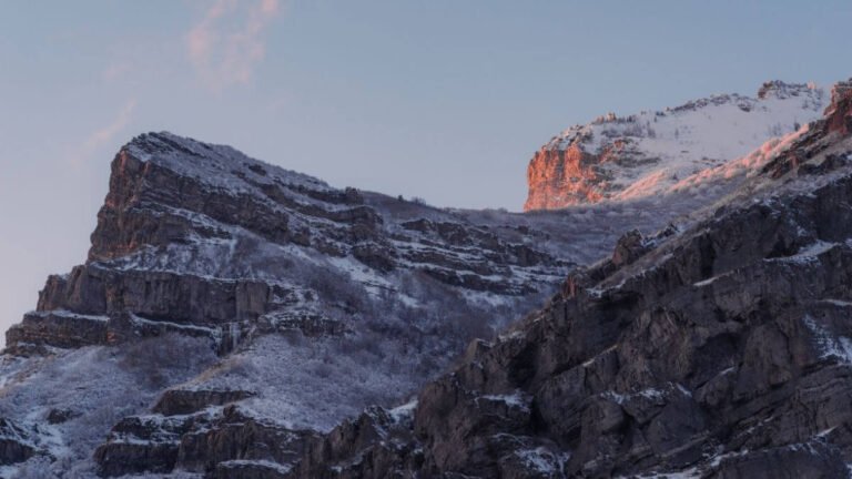 Quelles sont les meilleures banques d’images gratuites ?